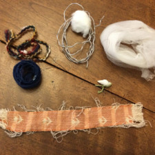 Becky Hunger's Seeds