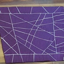 SUSAN ZEPEDA
Shattered -front