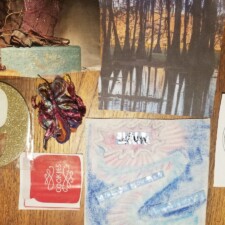 Judi Magder's Seeds