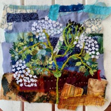 BETH SCHNELLENBERGER
www.quilterbeth.blogspot.com
This fiber collage features my interpretation of Queen Anne’s lace. It was always my Mother’s favorite plant and is a favorite of mine too. As I did some research on the plant, I found out that the symbolic meaning for Queen Anne's Lace is that it represents sanctuary. That really seems appropriate for these days of staying home. My home has truly become my sanctuary.
The totally hand-stitched piece measures approximately 12” X 12”. Materials used—tulle, sari silk, commercial fabric, hand painted fabric, and various embroidery and quilting threads.