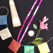 Alyce McDonald art seeds from Fran Englander