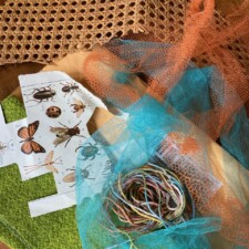Trish Korte arte seeds from JoAnne Rouse.