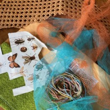 Trish Korte arte seeds from JoAnne Rouse.