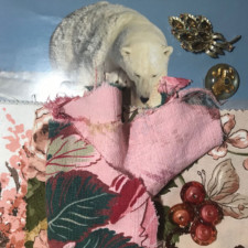 Sue Sobel art seeds from Portia Brown